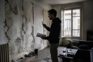 découvrez les droits et recours du locataire face à un logement insalubre ou humide, ainsi que les démarches à suivre pour obtenir des améliorations.