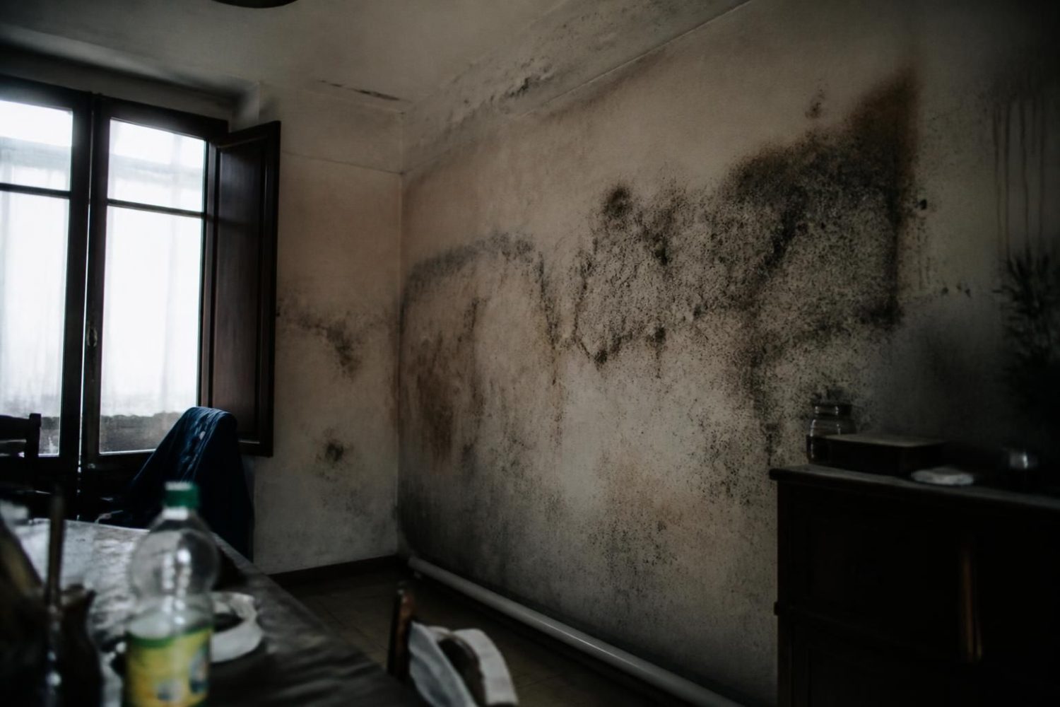 découvrez les droits et démarches du locataire face à un logement insalubre ou humide, ainsi que les solutions pour exiger des réparations et préserver votre santé.